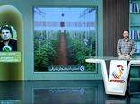 هدف‌گذاری برای توسعه ۲ هزار هکتار گلخانه در آذربایجان شرقی در افق پنج‌ساله 