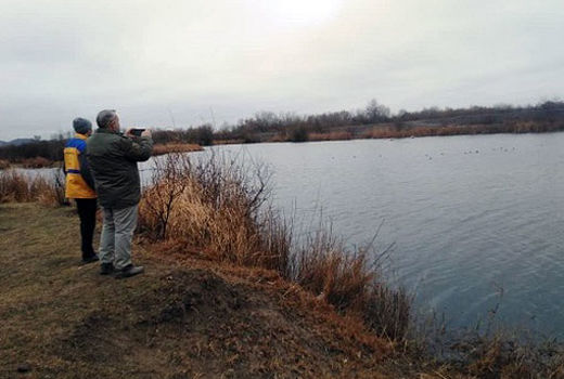 رصد و پایش آنفلوانزای فوق حاد پرندگان مهاجر و طیور بومی شهرستان خداآفرین 