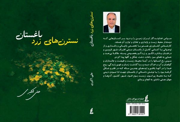 کتاب «نسترن‌های زرد باغستان» به قلم علی اکبری منتشر شد
