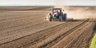 اجرای طرح جهش تولید در ۶۰ هزار هکتار از دیمزارهای چهارمحال و بختیاری