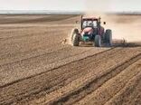 اجرای طرح جهش تولید در ۶۰ هزار هکتار از دیمزارهای چهارمحال و بختیاری