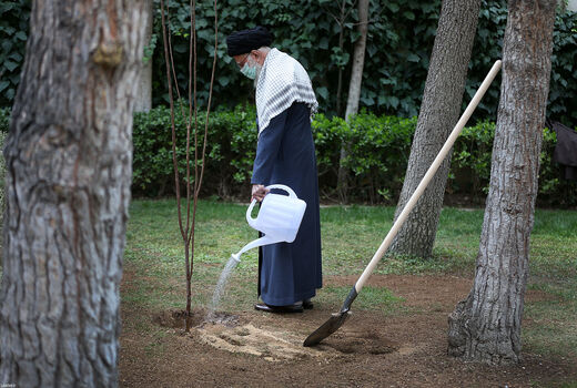 کاشت نهال در هفته منابع طبیعی توسط رهبر انقلاب اسلامی