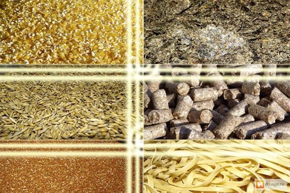 اینوفارم؛ آغازگر سرمایه‌گذاری هوشمندانه در ایده‌های صنعت خوراک دام و طیور است