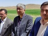 ایجاد وتوسعه ساختارهای غیر دولتی واستفاده از ظرفیت‌های دانش بنیان‌ها راهکار افزایش بهره‌وری وارتقا تولید در بخش کشاورزی استان