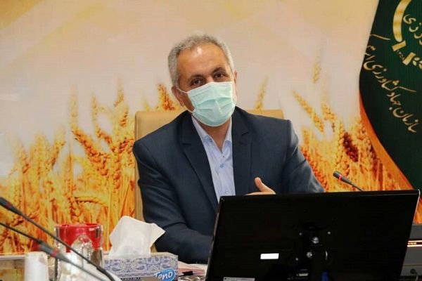 تولید بیش از 338000هزارتن سیب زمینی در کردستان