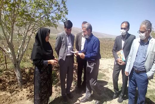 اهدای نشان استاندارد تشویقی کاهش حد مجاز آلاینده ها به بانوی ایلامی