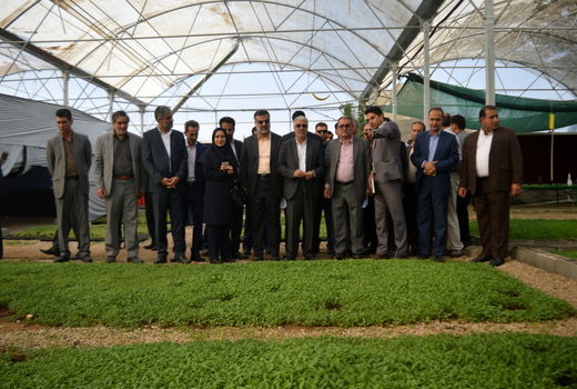 بزرگترین مجموعه کشت و صنعت گیاهان دارویی در مرودشت گشایش یافت.