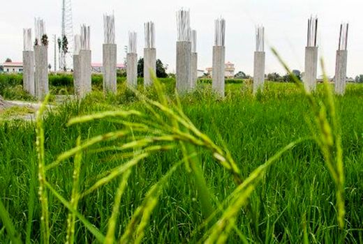 تهدید امنیت پایدار غذایی با تعدد قوانین و منافع متناقض تغییر کاربری اراضی

