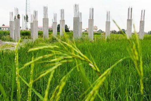 تهدید امنیت پایدار غذایی با تعدد قوانین و منافع متناقض تغییر کاربری اراضی

