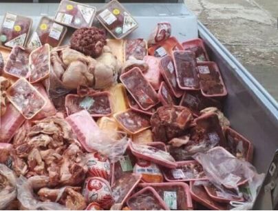 ۱۹۹ تن فرآورده غیربهداشتی دام خراسان شمالی معدوم شد