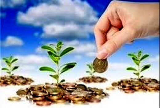 تشکیل 8 صندوق اعتباری خرد زنان روستایی در خراسان شمالی