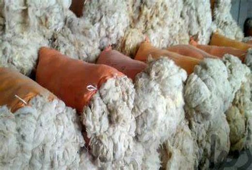 رسیدن به استاندارد جهانی کلید موفقیت صنعت پشم ایران است