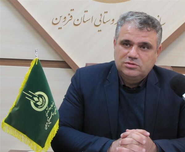 آغاز خرید حمایتی میوه زیتون در استان قزوین
