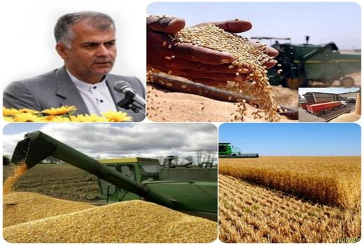 آمادگی کامل مراکز خرید بخش دولتی برای تحویل گندم مازاد بر نیاز کشاورزان
