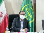 تحقق جهش در تولیدات کشاورزی با انجام کشاورزی حفاظتی و نیمه حفاظتی در اراضی دیم 