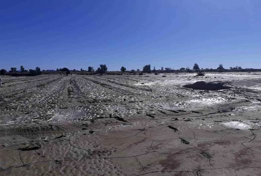 خسارت  375 میلیارد تومانی سیل به بخش کشاورزی سیستان و بلوچستان