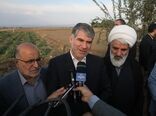 افزایش ۵ درصدی تولید انار در کشور/ از سرمایه گذاران در بخش صنایع تبدیلی حمایت می کنیم