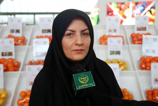 تولید 8.8 میلیون تن میوه های گرمسیری در  سال جاری 