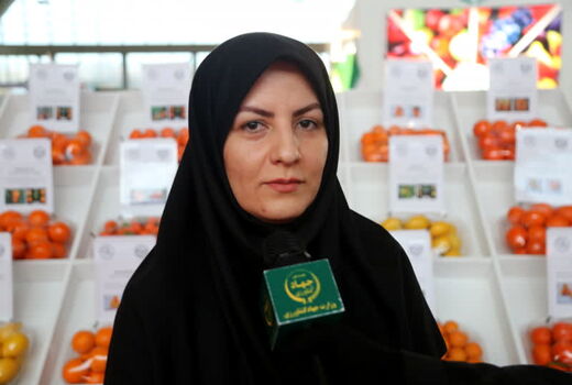 تولید 8.8 میلیون تن میوه های گرمسیری در  سال جاری 