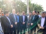 آغاز مرحله دوم واکسیناسیون دام ها برای کنترل تب برفکی در کشور
