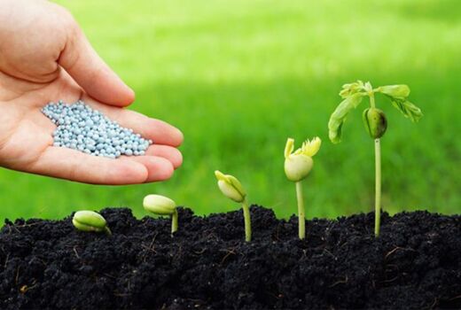 توزیع 3048 تن انواع کودهای شیمیایی در استان البرز