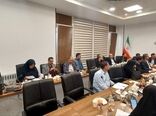 امکان جایگزینی ۲۰ درصد نهاده‌های وارداتی طیور با ارقام جدید باقلا