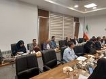 امکان جایگزینی ۲۰ درصد نهاده‌های وارداتی طیور با ارقام جدید باقلا