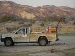 421 هکتار از مراتع سیستان وبلوچستان علیه ملخ صحرایی سمپاشی شد 