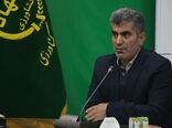 طرح جهش تولید در دیمزارها افرایش درآمد کشاورزان را به دنبال خواهد داشت