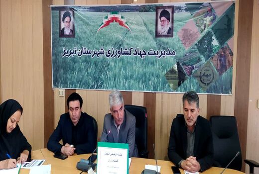 افزایش سطح گلخانه‌های آذربایجان شرقی تا ۲ هزار هکتار طی پنج سال آینده  