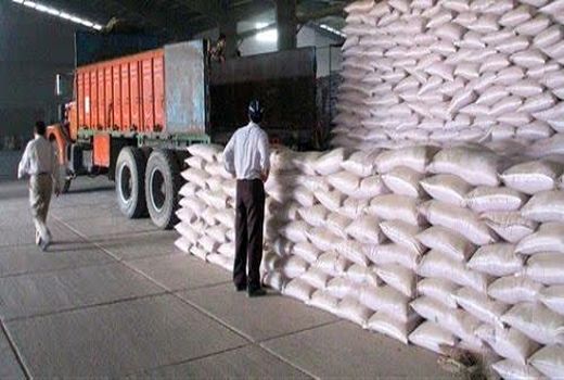 توزیع بیش از ۱۷ هزار تن انواع کود شیمیایی در استان قزوین