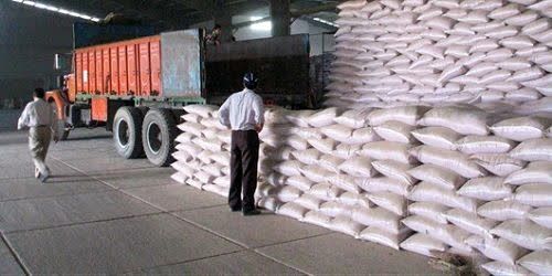 توزیع بیش از ۱۷ هزار تن انواع کود شیمیایی در استان قزوین