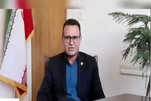 پیش بینی تولید 298 هزارتن ذرت علوفه ای در شیراز