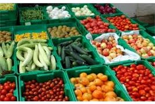 تولید 3 میلیون تن محصولات باغی در مازندران/ رشد 5 درصدی عملکرد