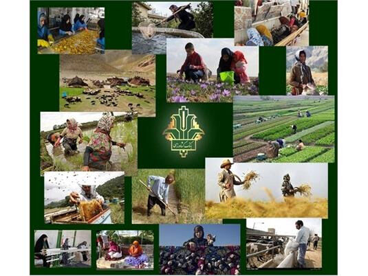 جذب 195 درصدی تسهیلات اشتغال روستایی در مازندران
