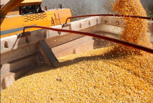 تکلیف گمرک برای جلوگیری از متروکه شدن ذخایر راهبردی کشور