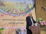 آموزش کشاورزی نیازمند نگاه توسعه‌گرا و حمایت ساختاری است/ کم‌توجهی به آموزش کشاورزی در نظام برنامه‌ریزی کشور