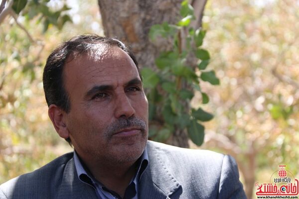 قیمت جهانی پسته 8 دلار است و نباید کمتر از این مبلغ به فروش برسد