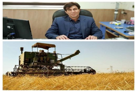 آغاز برداشت غلات در شهرستان گیلانغرب 