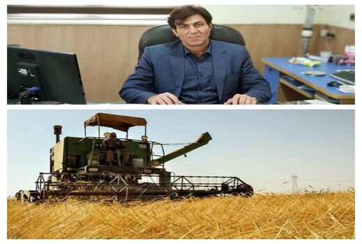 آغاز برداشت غلات در شهرستان گیلانغرب 