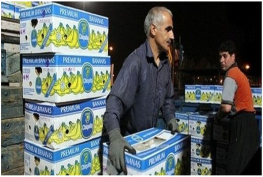 واردات 570 هزار تن موز به کشور