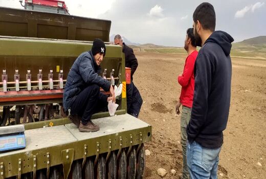 کشت مکانیزه گلرنگ درسطح ۲۵ هکتار از دیمزارهای روستای باشبلاغ بستان‌آباد