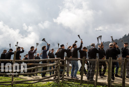 مراسم تاسوعا در روستای شامیلرزان