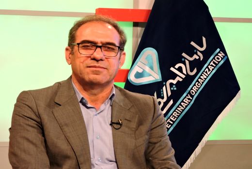 طرح ساماندهی کشتار غیر مجاز دام و طیور در سطح شهر ایلام و حومه آغاز شد