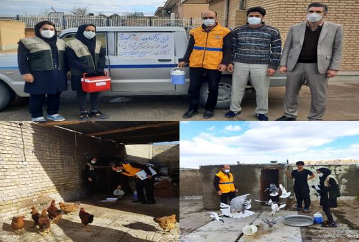 آغاز واکسیناسیون طیور بومی در فارس