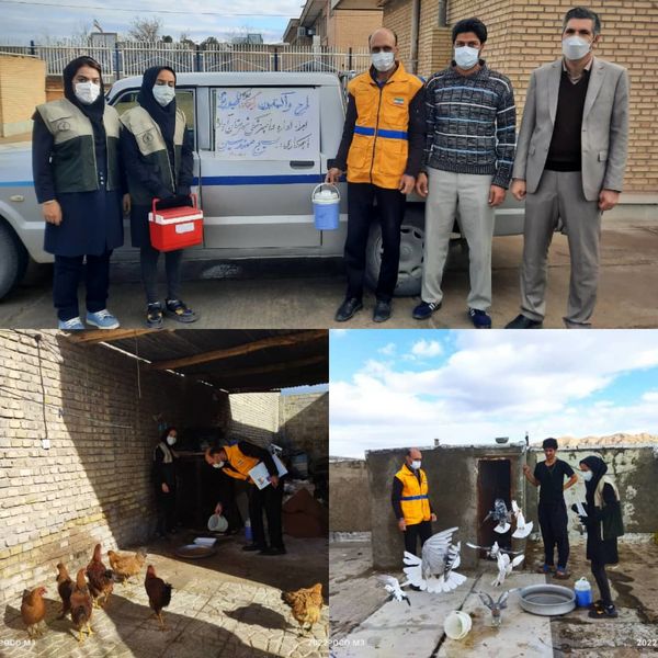 آغاز واکسیناسیون طیور بومی در فارس