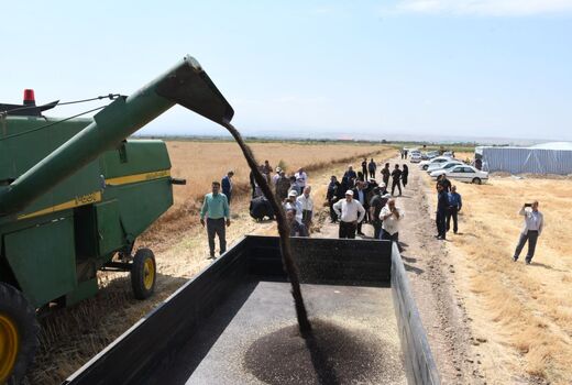 افزایش 56.6 درصدی قیمت خرید تضمینی کلزا در راستای طرح مردمی سازی و توزیع عادلانه یارانه ها 