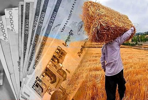 بدهی‌های تعاون روستایی به کشاورزان صفر شد/ مدیریت بازار شب عید بدون اتکا به بودجه دولت