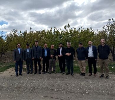 پژوهشگران باغبانی پای کار ارتقای خودکفایی کشور آمدند/«خط مقدم امنیت غذایی» در مشکین‌دشت