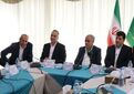 بیش از  ۱۴.۱ میلیون تن گندم در کشور تولید شده است